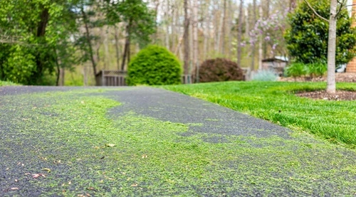 Blow Grass Clippings Into the Road