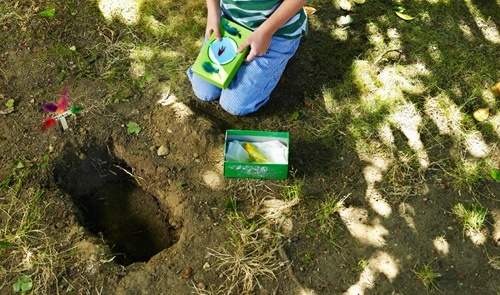 Bury Your Pet in Your Backyard