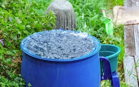 Collect Rainwater in Nevada