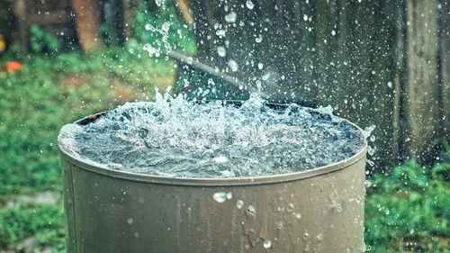 Collect Rainwater in Utah