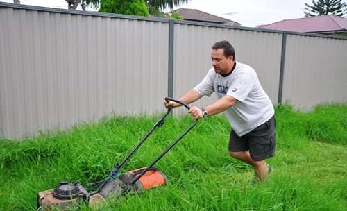 Mow Your Neighbor’s Lawn