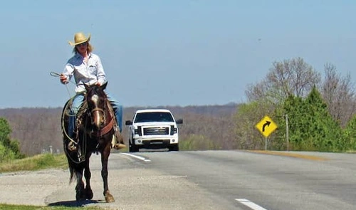 Ride a Horse Drunk