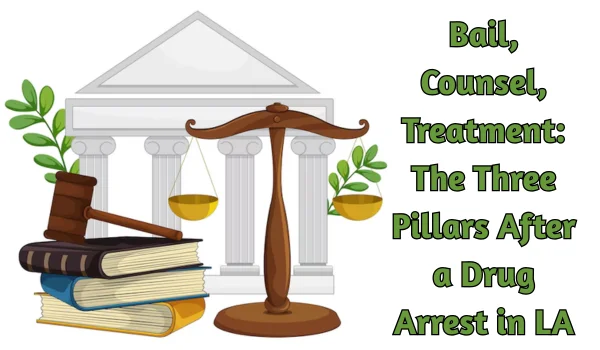 Bail, Counsel, Treatment